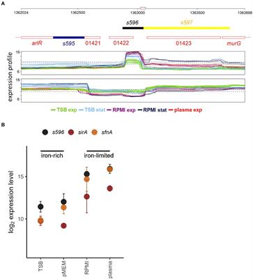 Exploring the targetome of IsrR, an iron-regulated sRNA controlling the synthesis of iron-containing proteins in Staphylococcus aureus